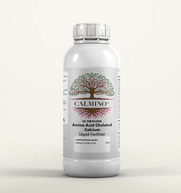CALMINO